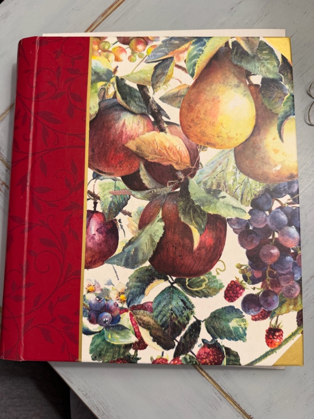 Day Spring — The Ministry of Greeting Cards Hardcover Spiral Bound Book.